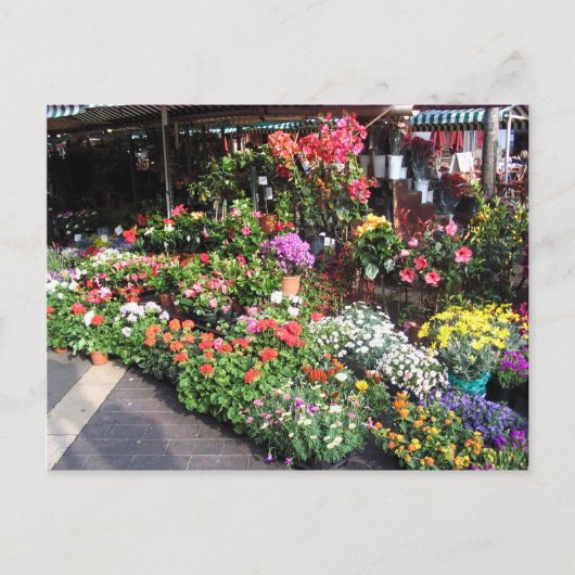 Carte Postale Marché Aux Fleurs À Nice En France (Devant)