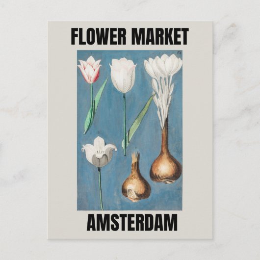 Carte Postale Marché aux fleurs Amsterdam Vintage Tulip (Devant)