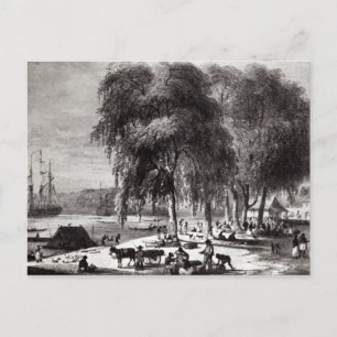Carte Postale Marché aux poissons, Paramribo