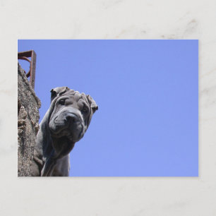 Carte Postale Marché aux puces