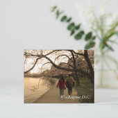 Carte Postale Marche Cherry Blossom (Debout devant)