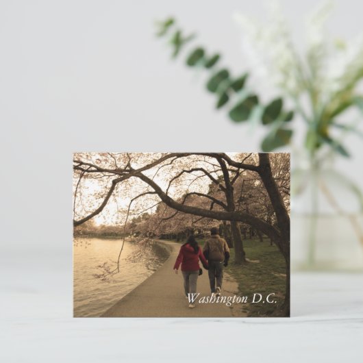 Carte Postale Marche Cherry Blossom (Debout devant)