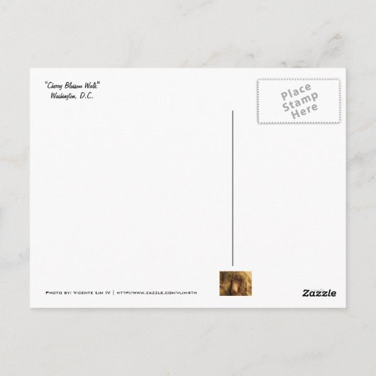 Carte Postale Marche Cherry Blossom (Dos)