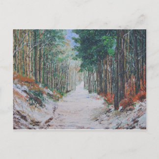 Carte Postale Marche dans la forêt, Yorkshire, Angleterre.
