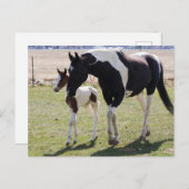 Carte Postale Marche de Mare et Filly (Devant / Derrière)