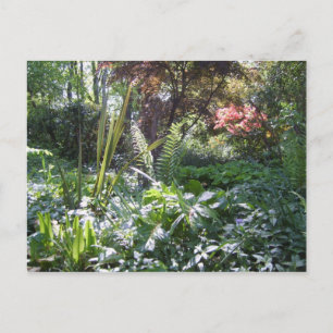 Carte Postale Marche des bois