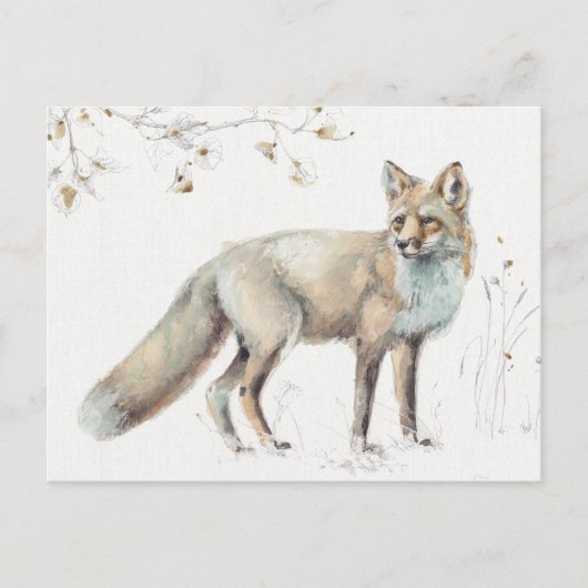 Carte Postale Marche des bois XI (Devant)