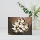 Carte Postale Marché des fermiers de Shaker Square (Debout devant)