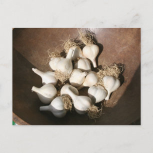 Carte Postale Marché des fermiers de Shaker Square