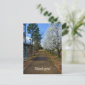 Carte Postale Marche du printemps (Debout devant)