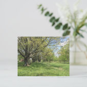 Carte Postale Marche du printemps (Debout devant)