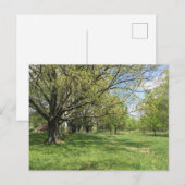 Carte Postale Marche du printemps (Devant / Derrière)