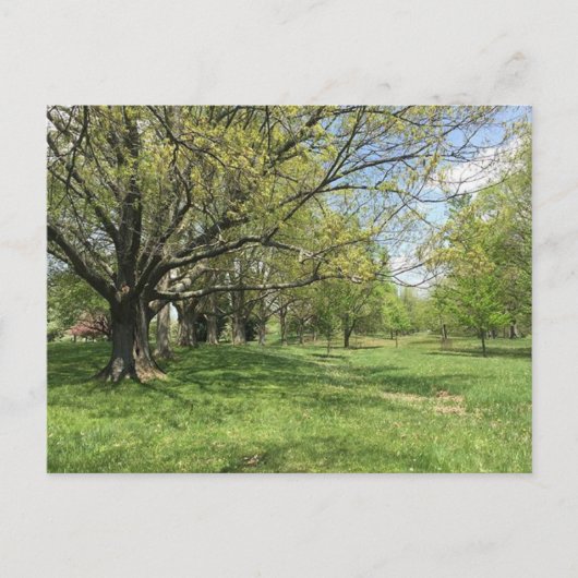 Carte Postale Marche du printemps (Devant)