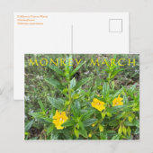 Carte Postale Marche du singe (Devant / Derrière)