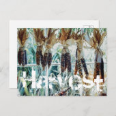 Carte Postale Marché fermier de la saison des récoltes (Devant / Derrière)