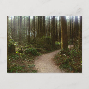Carte Postale Marche forestière