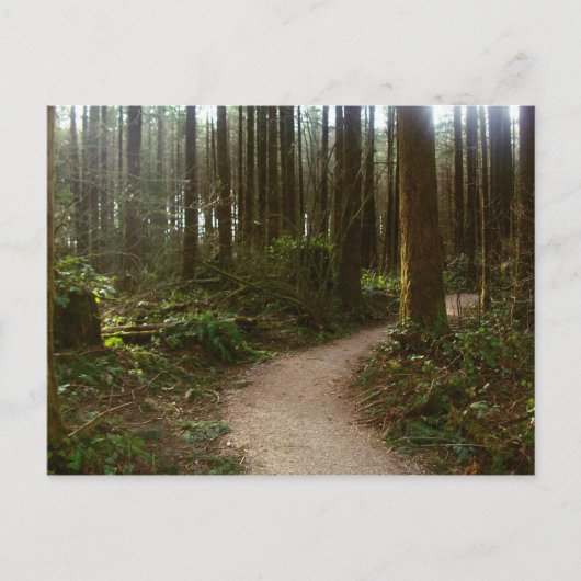 Carte Postale Marche forestière (Devant)