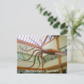 Carte Postale Marché public de Pike Place Grand Calmar Seattle,  (Debout devant)