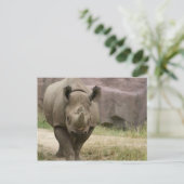 Carte Postale marche rhino (Debout devant)