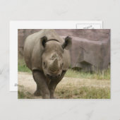 Carte Postale marche rhino (Devant / Derrière)