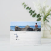 Carte Postale Marche Seagull (Debout devant)