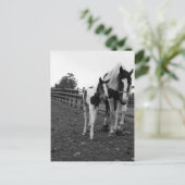 Carte Postale marcher à côté de la clôture (Debout devant)