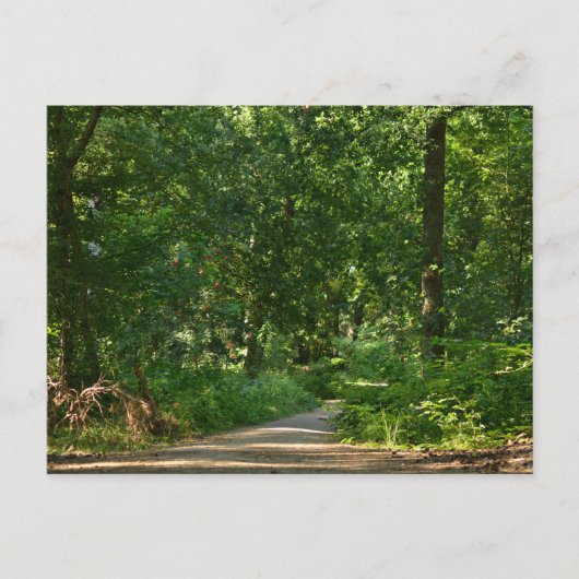 Carte Postale Marcher à travers les arbres (Devant)