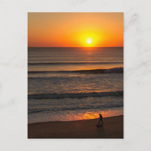 Carte Postale Marcher Le Chien OBX