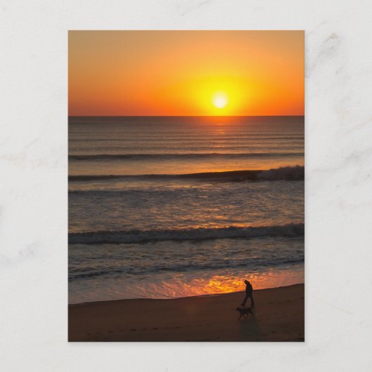 Carte Postale Marcher Le Chien OBX (Devant)