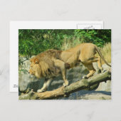 Carte Postale Marcher sur la planche (Devant / Derrière)