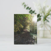 Carte Postale "Marcher sur un sentier forestier" Northumberland (Debout devant)