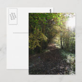 Carte Postale "Marcher sur un sentier forestier" Northumberland (Devant / Derrière)