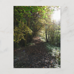 Carte Postale "Marcher sur un sentier forestier" Northumberland