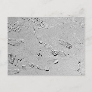 Carte Postale Marches