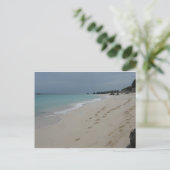 Carte Postale Marches dans le sable des Bermudes (Debout devant)