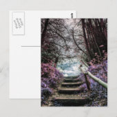 Carte Postale Marches de la forêt de fantaisie (Devant / Derrière)