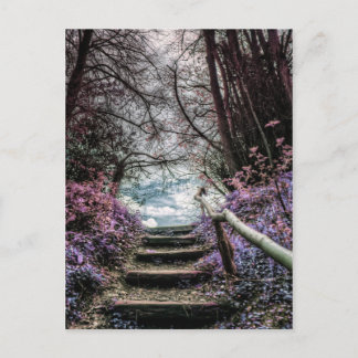 Carte Postale Marches de la forêt de fantaisie