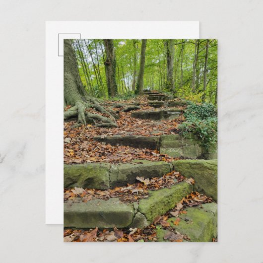 Carte Postale Marches En Pierre Dans Les Bois (Devant / Derrière)