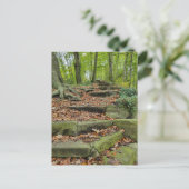 Carte Postale Marches En Pierre Dans Les Bois (Debout devant)