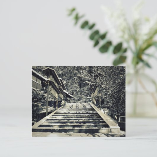 Carte Postale Marches enneigées (Debout devant)