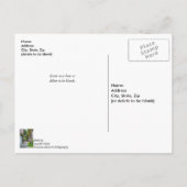 Carte Postale Marchez le long de Rainbow Row Merci (Dos)