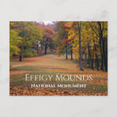 Carte Postale Marching Bear Mound, Automne, Effigie Mounds (Devant)