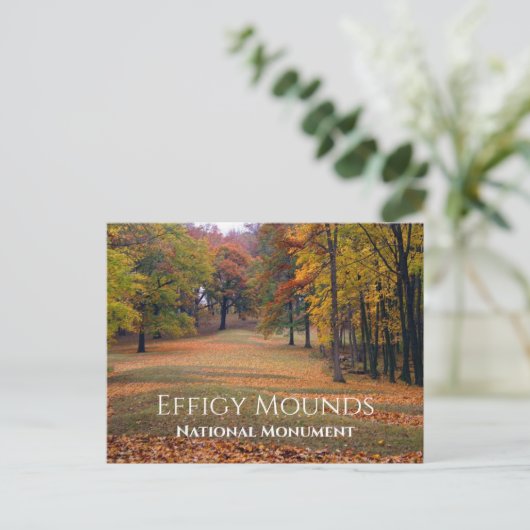 Carte Postale Marching Bear Mound, Automne, Effigie Mounds (Debout devant)