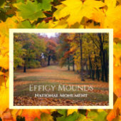 Carte Postale Marching Bear Mound, Automne, Effigie Mounds