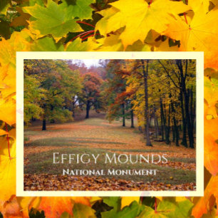 Carte Postale Marching Bear Mound, Automne, Effigie Mounds