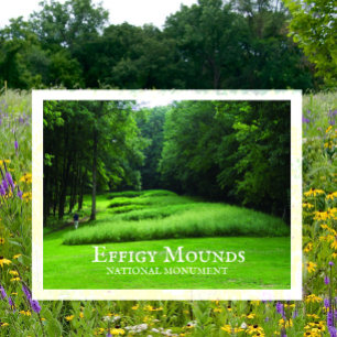 Carte Postale Marching Bear Mounds Group, Été, Effigie Mounds