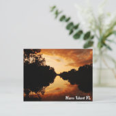 Carte Postale Marco Island FL (Debout devant)