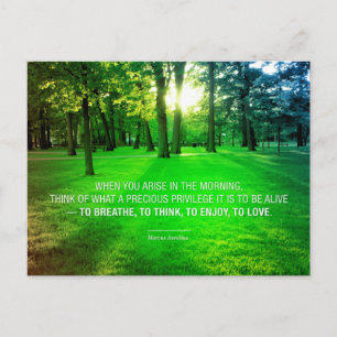 Carte Postale Marcus Aurelius Vie Stoic Privilege citation Vie