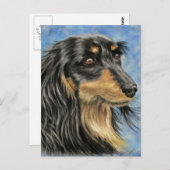 Carte Postale Marcus - Long Haired Dachshund Art (Devant / Derrière)