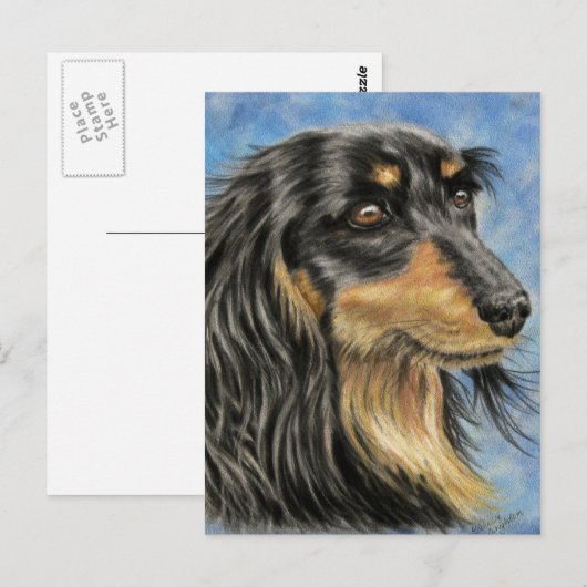 Carte Postale Marcus - Long Haired Dachshund Art (Devant / Derrière)